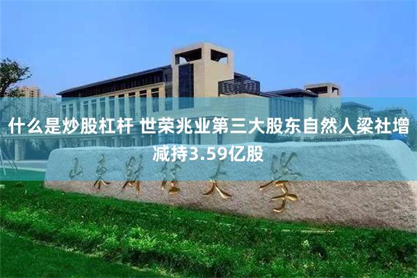 什么是炒股杠杆 世荣兆业第三大股东自然人梁社增减持3.59亿股