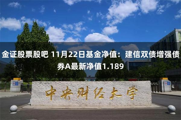 金证股票股吧 11月22日基金净值：建信双债增强债券A最新净值1.189