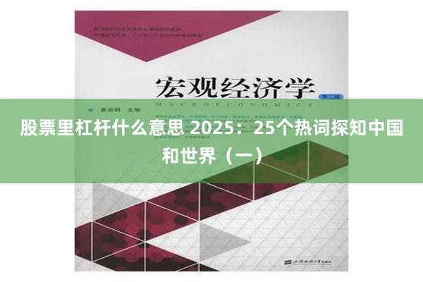 股票里杠杆什么意思 2025：25个热词探知中国和世界（一）