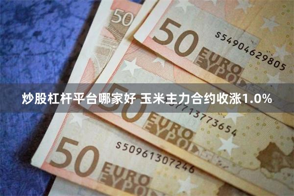 炒股杠杆平台哪家好 玉米主力合约收涨1.0%
