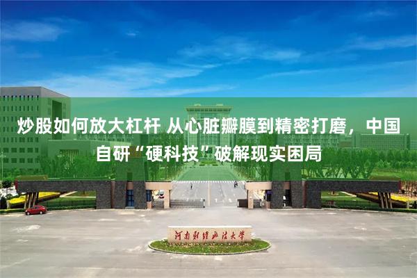 炒股如何放大杠杆 从心脏瓣膜到精密打磨，中国自研“硬科技”破解现实困局